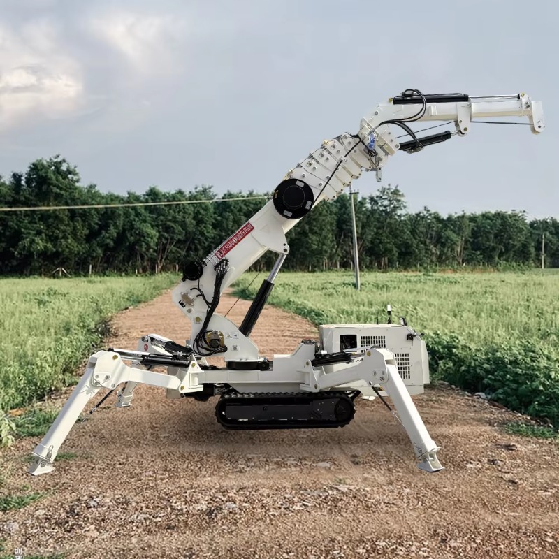 Compact Mini Spider Crane 1.5T - đánh giá và giá Compact Crawler Boom Lift