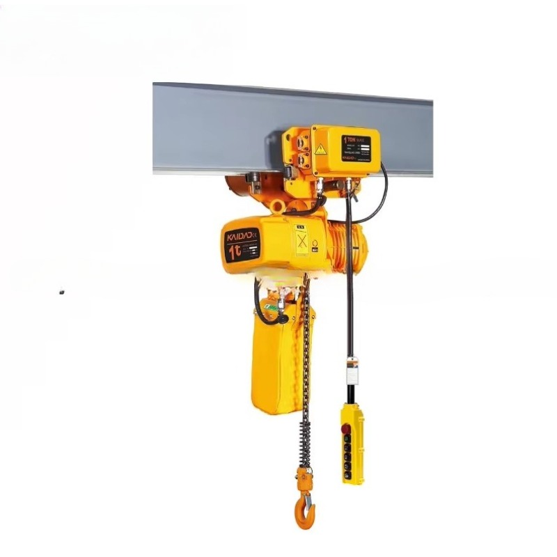 Dual Speed Electric Chain Hois - đánh giá và giá Heavy Equipment Industry