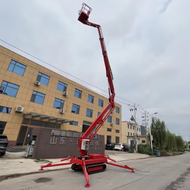 YG Customized 12m Briggs & Str - đánh giá và giá Compact Crawler Boom Lift
