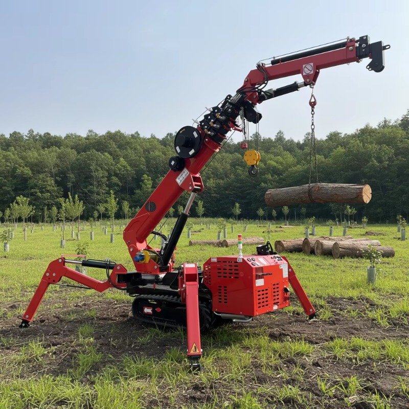 6Ton Hydraulic Telescopic Spid - đánh giá và giá Compact Crawler Boom Lift